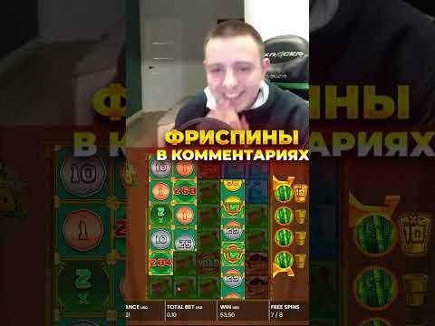 Поймал занос х10000 в бамбуке | Заносит в Big Bamboo #bigbamboo #казино #shorts