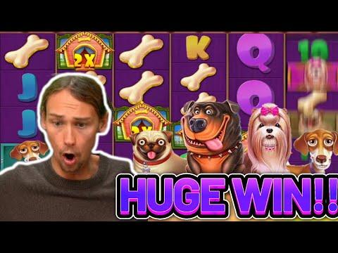 HUGE WIN!!! DOG HOUSE MEGAWAYS BIG WIN - €5 Bet On Casino Slot From CasinoDaddys Stream