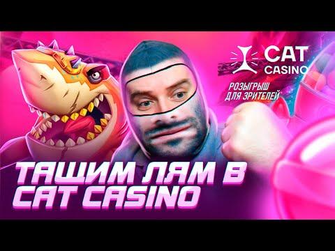 Погнали разнесем CAT CASINO | СТРИМ в КАЗИНО ОНЛАЙН ПРЯМОЙ ЭФИР