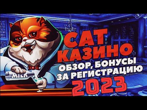 CAT CASINO ЗЕРКАЛО 