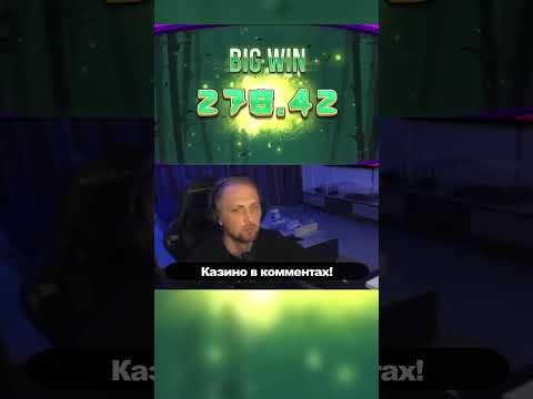 Зубарев забирает весь бамбук себе ! #zubarefff #twitch #casino