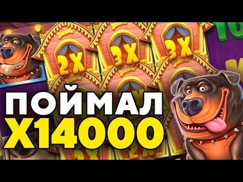 ВЫБИЛ ЛУЧШУЮ БОНУСКУ НА 50.000Р В DOG HOUSE MEGAWAYS B CАМЫЙ ПОСЛЕДНИЙ МОМЕНТ!