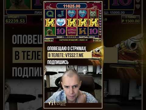 Когда Amatic играет! Занос в Diamond Cats, Витус заносы казино онлайн