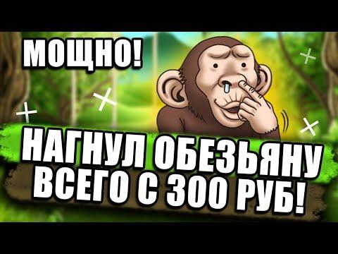 Как раскрутится новичку с депозитом 300 рублей в казино вулкан? Мощно нагнул Crazy Monkey(обезьянки)