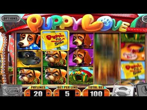 Покердом Archives - Casino-Bazar