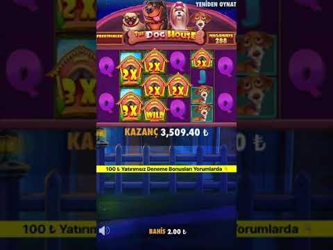 Full Ekran Wild Görünce Ne Hissediyorsunuz ? - The Dog House Megaways Rekor -#casino #slot #shorts