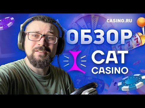 Обзор Cat Casino | Киберпанк ли?