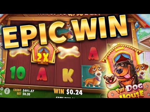 ПИН АП КАЗИНО  ЛОВИМ ЗАНОС У ВЕСЕЛЫХ THE DOG HOUSE SLOT!!! НЕ ВУЛКАН!