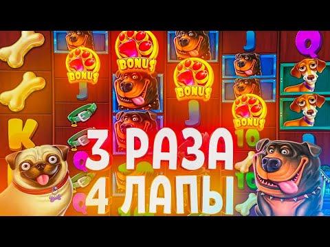 ОЧЕНЬ ХОРОШАЯ ИГРОВАЯ СЕССИЯ СО СТАБИЛЬНЫМИ ЗАНОСАМИ В DOG HOUSE MEGAWAYS