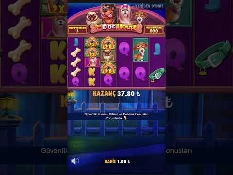 Son El Gelen Karabaşlar Şok Etti - The Dog House Megaways Rekor - #casino #slot #shorts