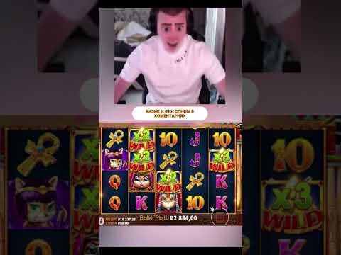 5 лап это максквин  #заносынедели #bigwin #casino