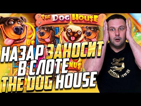 Крупный ЗАНОС в ДОГ ХАУС! L The Dog House от Pragmatic Play в казино BOOI! L Nazar Casino