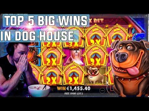 The Dog House  Top 5 BIG WINS - Record Win On Slot