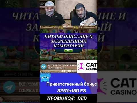 Онлайн казино CAT CASINO - тест нового топового лицензионного проекта | ЗАНОСЫ НЕДЕЛИ #shorts