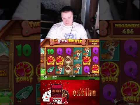 ONLINE CASINO | СЛОТ DOG HOUSE MEGAWAYS | ЗАНОС АПАСНОГО | MEGA WIN