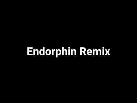 Podval Capella - Endorphin (Remix)