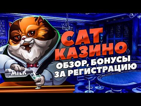 Cat казино подробный обзор 