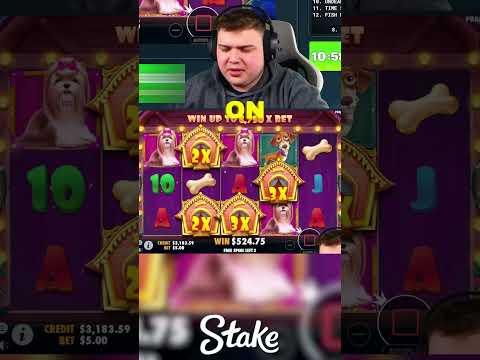 HUGE SET-UP On THE DOG HOUSE SLOT!! (BONUS BUYS) #slots #casino #doghouse #shorts