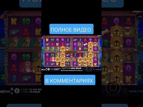 МЕГА КРУТОЙ СЛОТ THE DOG HOUSE MULTIHOLD ПО МАКСБЕТУ #казино #spinbetter #slots #занос