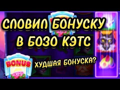 BOZO CATS СЛОВИЛ БОНУСКУ