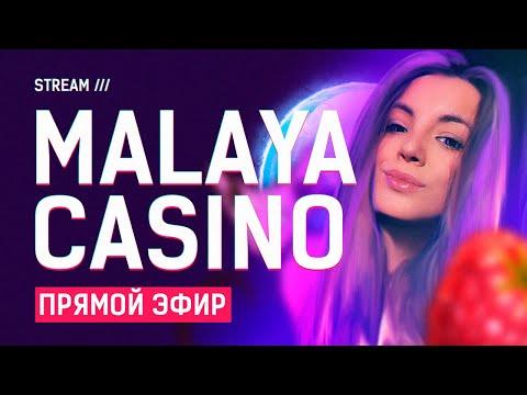 Стрим казино онлайн / Malaya Casino