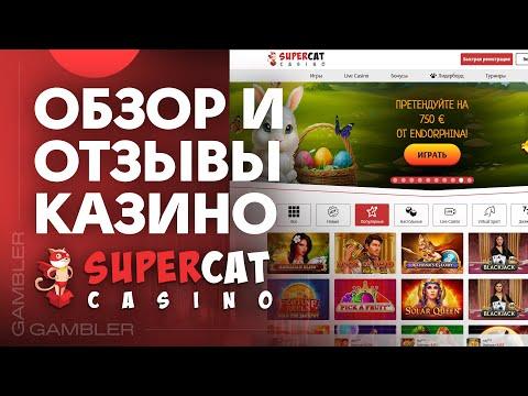 Казино Super Cat - Обзор Казино - Отзывы Игроков 2023 год