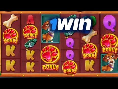 Единственный способ выйграть казино 1win, Casino Hack, промокод +500% к депозиту в коментариях, DOG