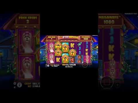 The Dog House Megaways  FREE SPINS CASINO ONLINE SLOT GAME#26