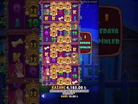 Bu Oyun Çok Degişik Aklımızı Aldı - The Dog House Megaways Multihold - #casino #slot #shorts