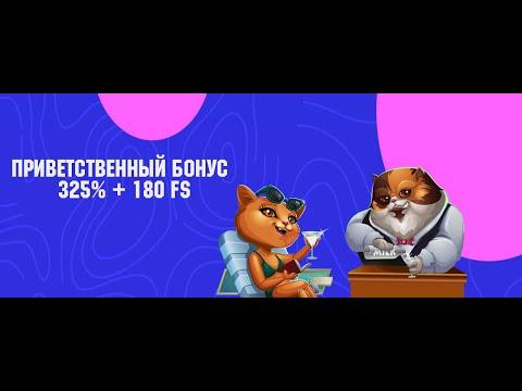 Cat Casino Online - (Казино Кэт) Стрим в казино - с 5 тысяч до 100 тысяч !