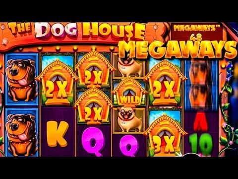 THE DOG HOUSE MEGAWAYS ДАЕТ ЖАРУ??!! БОНУСЫ В THE DOG HOUSE MEGAWAYS!!!